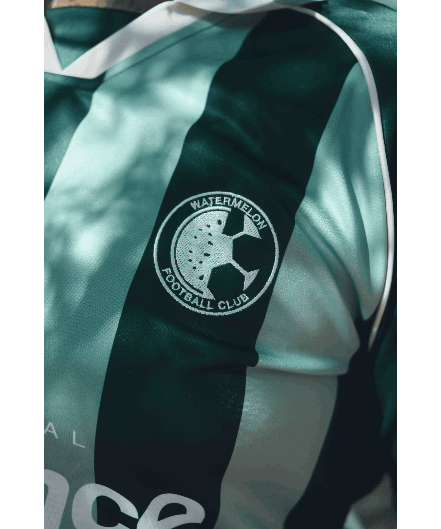 Camiseta de la Resistencia Internacional